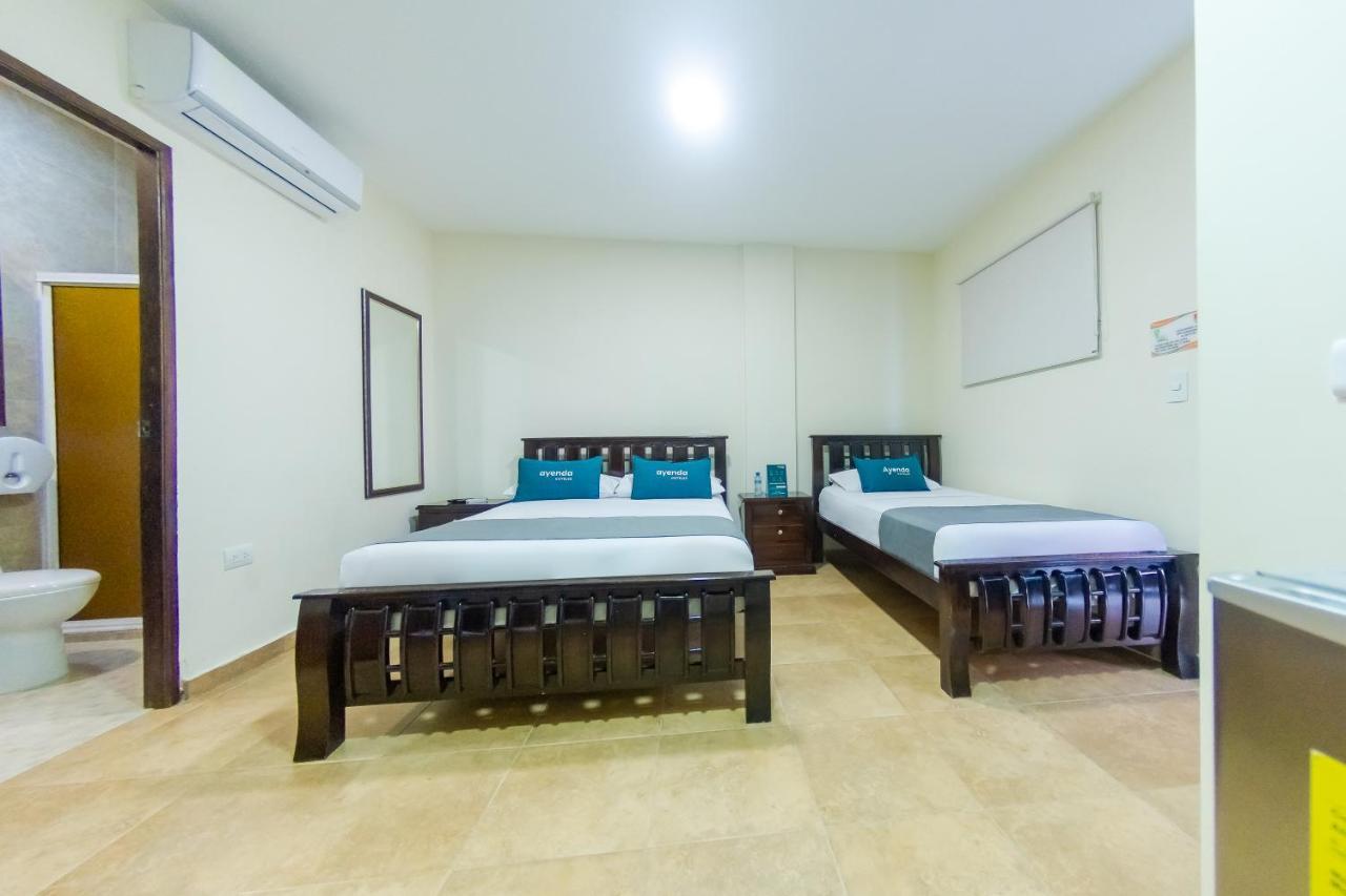 Superior Triple Room,1154744445:JPEG