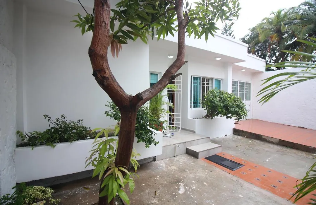 Casa El Mangle-1