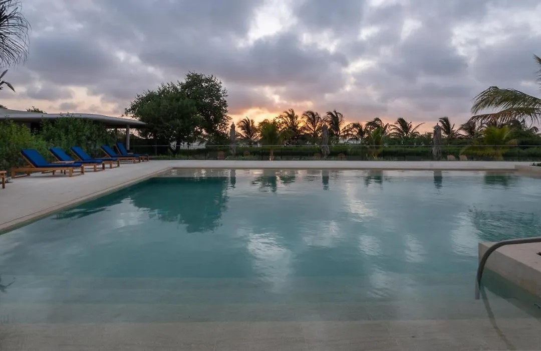 Amazing Caribbean Beachfront Apartment 402-1