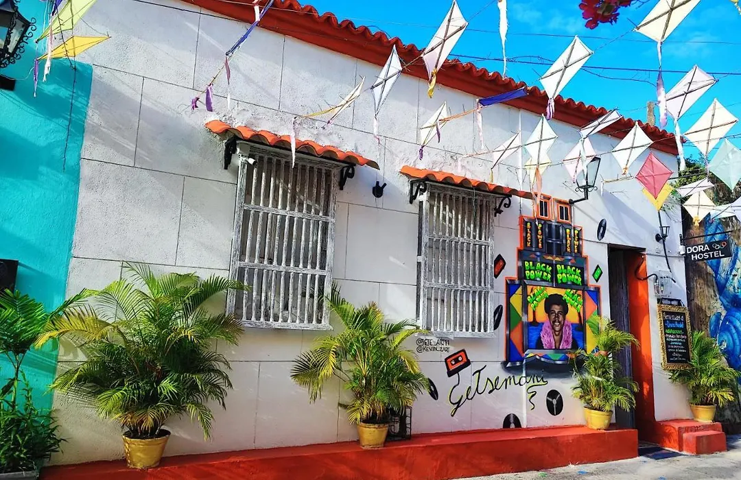 New Casa Dora-1