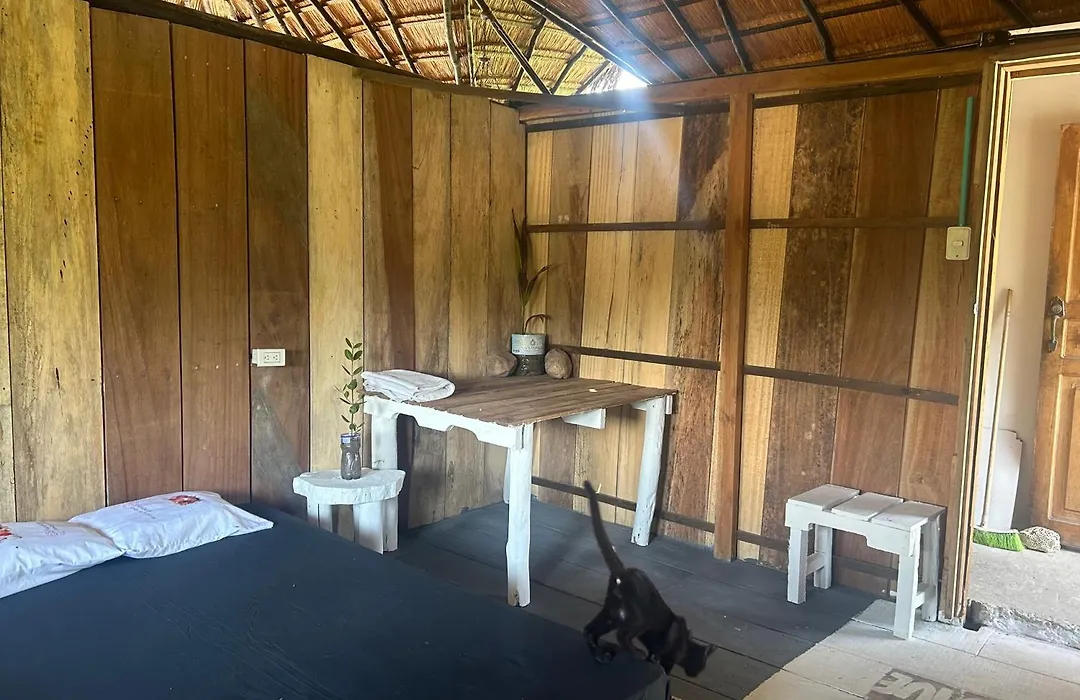 Punta Arena Ecohostal & Ecofit - Your Eco-Conscious Oasis-1