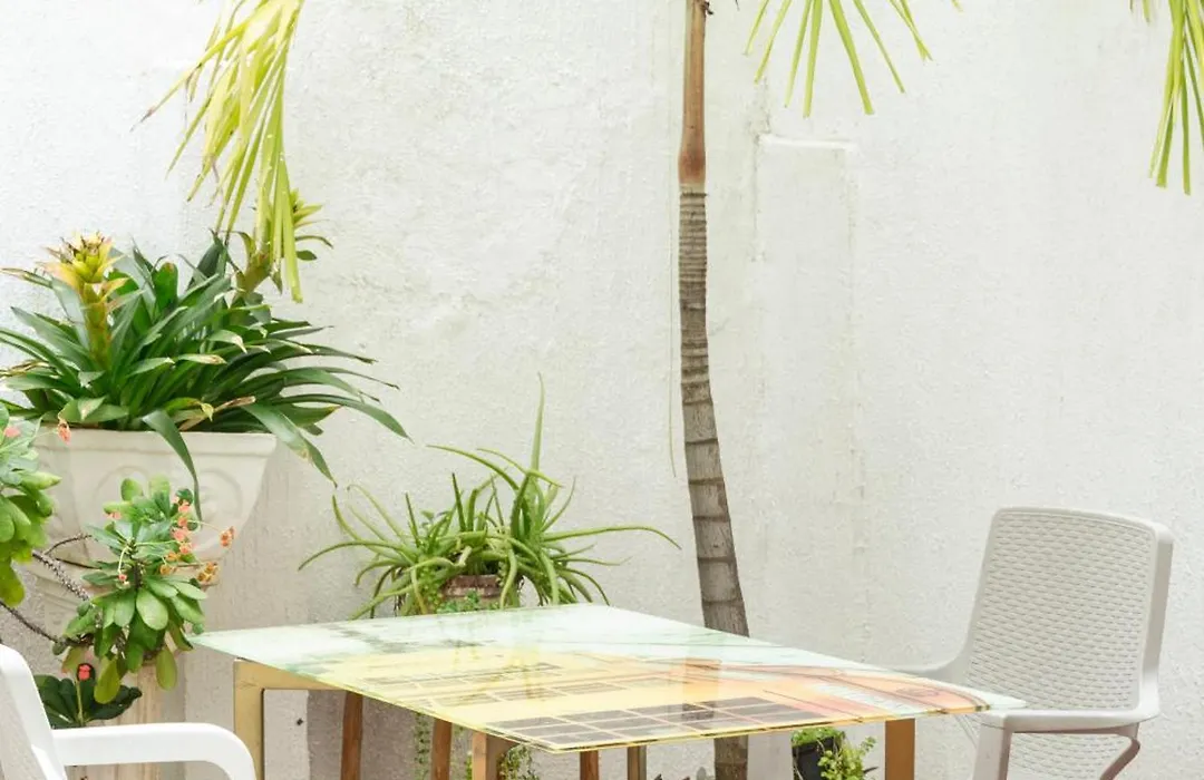 Mango Biche - House-1