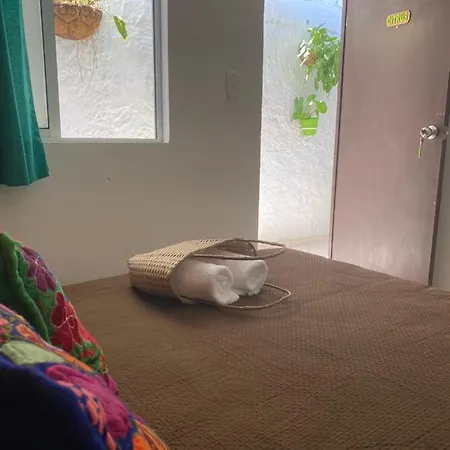 Casa San Juan-3