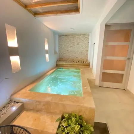Espectacular Casa En El Centro Con Jacuzzi Grande-3