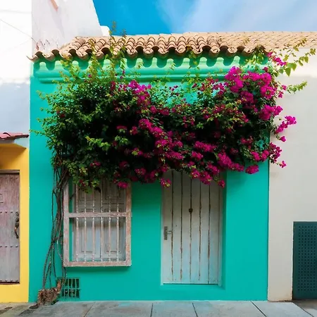 Casa Turquesa, 4Br Stunning House At Center!-3
