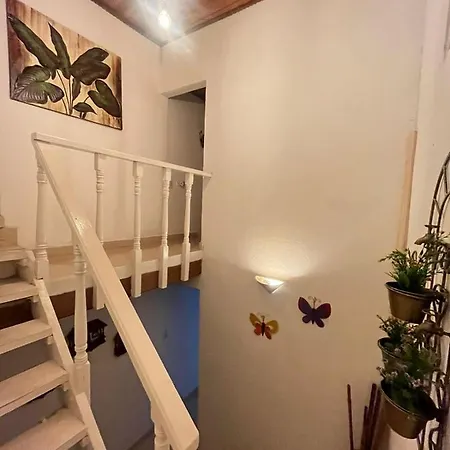 Casa 39-33-3