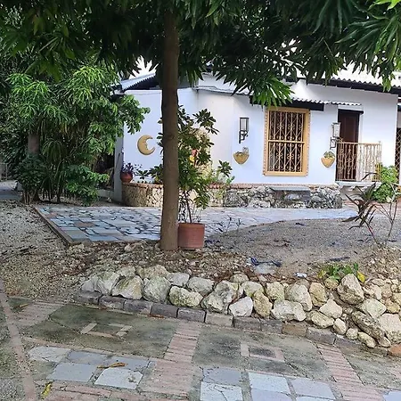 Lovely Home With Parking Pets Welcome-3