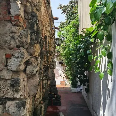 Lovely Home With Parking Pets Welcome-2