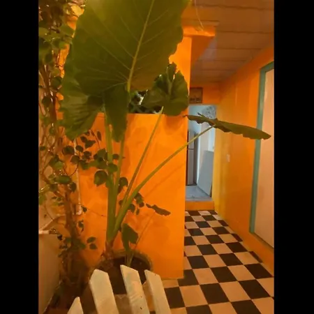Room In Lodge - Cr-4 Room In Getsemani With Breakfast Wifi And Air Conditioning-2