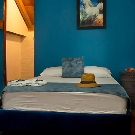 Hotel New Casa Sweety-3