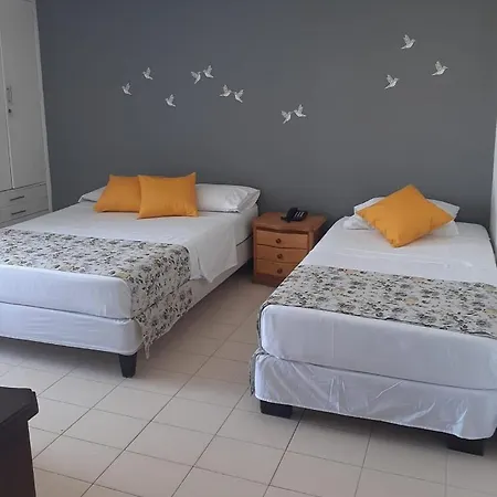 Coral Caribe 1415-2