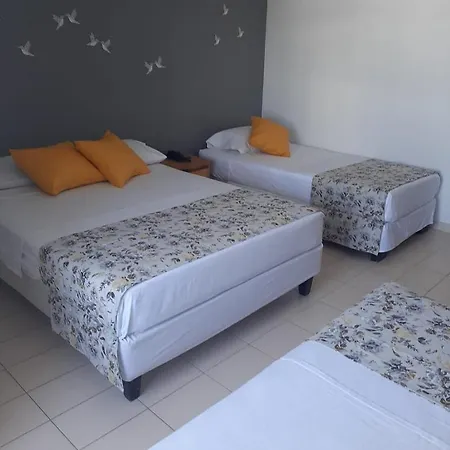 Coral Caribe 1415-3