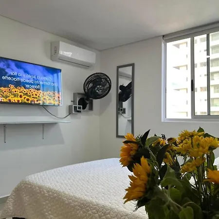 Apartamento Full Equipado Por Habitaciones-2