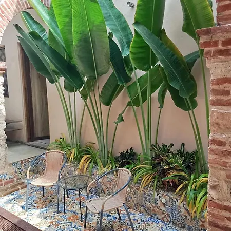 Beutiful Suite With Private Patio - Twon C-3