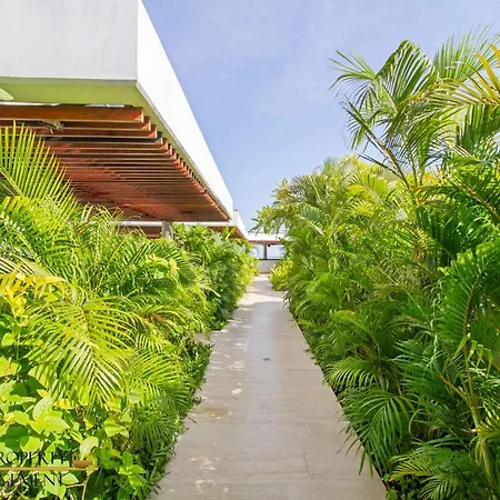 Martinique Cartagena - Apartamentos A Corta Caminata De Playa Azul-2