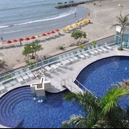 Palmetto Luxury-3