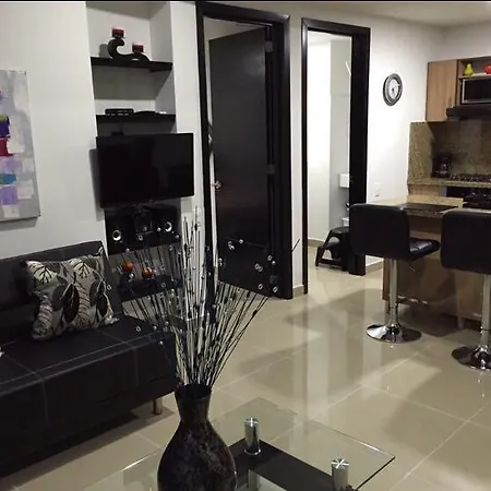 Palmetto Luxury-2