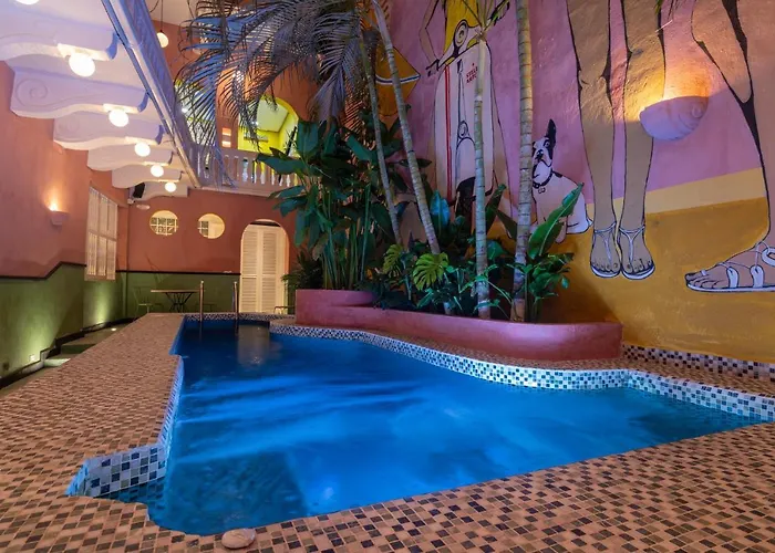 Casa Movida Hostel Cartagène acceptant les animaux