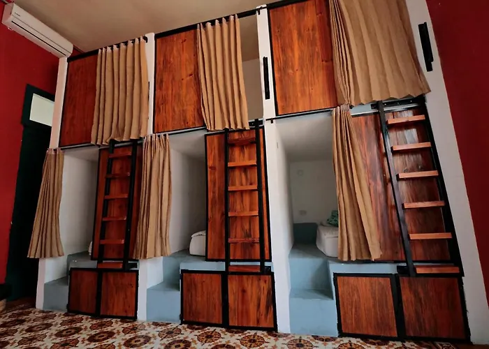 Republica Hostel Cartagène acceptant les animaux